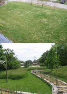 My Ironic Natural Landscaping Twist Image